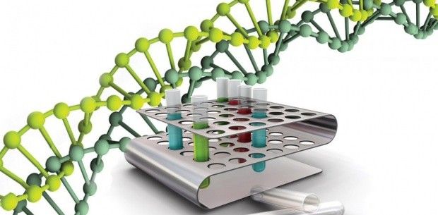 I cromosomi artificiali aiutano a far fronte alle malattie ereditarie