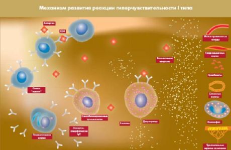 Proteina aperta, che sarà un nuovo obiettivo per il diabete