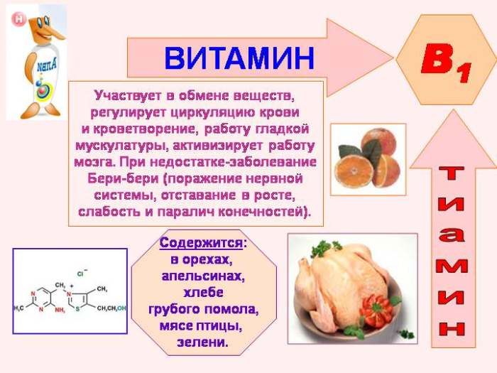 Le proprietà della vitamina B1