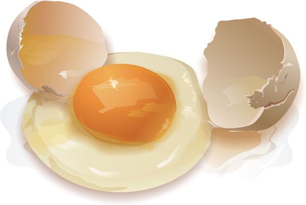 l'azione della dieta delle uova